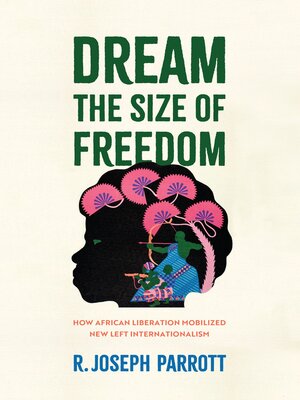 cover image of Dream the Size of Freedom